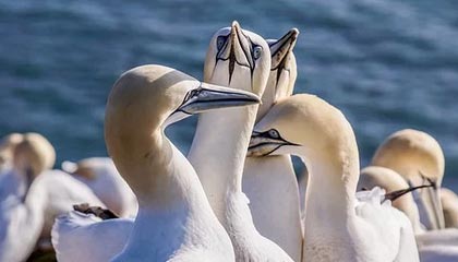 开yun官网-摩洛哥队在巴黎奥运会男足比赛中以1-2不敌阿根廷，摩洛哥足球队