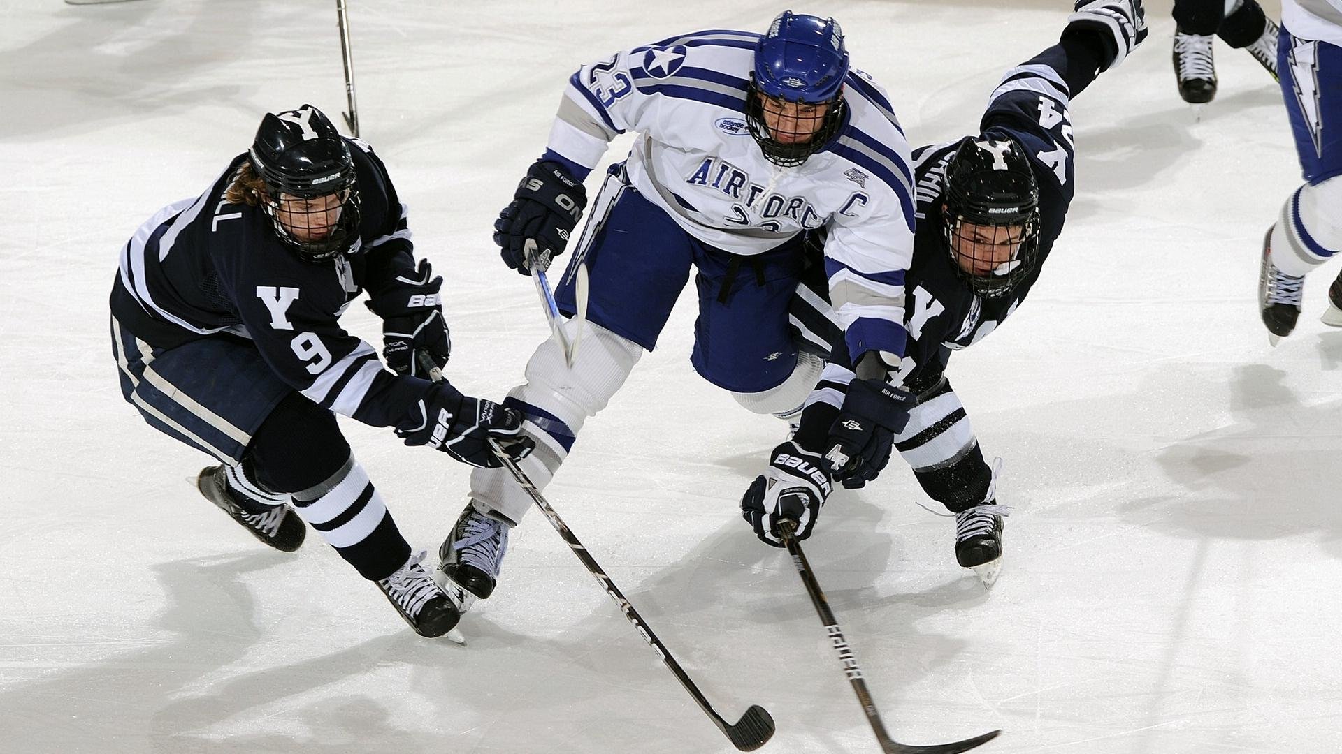 后备力量逐渐崛起,成为球队新亮点,后备力量逐渐崛起,成为球队新亮点